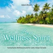 Pure Wellness Spirit, Audio-CD (Audio book) - Fantastische Wellnessmusik für Geist, Körper & Seele!