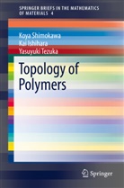 Ka Ishihara, Kai Ishihara, Koy Shimokawa, Koya Shimokawa, Yasuyuki Tezuka - Topology of Polymers