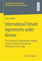 Anja Zenker - International Climate Agreements under Review