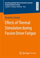 Elisabeth Schmidt - Effects of Thermal Stimulation during Passive Driver Fatigue