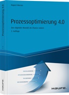 Rupert Hierzer - Prozessoptimierung 4.0