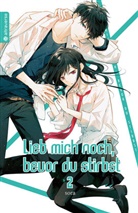 Sora - Lieb mich noch, bevor du stirbst. Bd.2