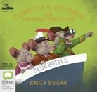 Emily Bearn - The Pirates' Treasure (Audio book)