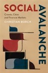 Christian Borch, Christian (Copenhagen Business School) Borch, Borch Christian, CHRISTIAN BORCH - Social Avalanche