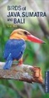 Tony Tilford - Birds of Java, Sumatra and Bali