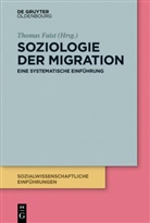 Thoma Faist, Thomas Faist - Soziologie der Migration