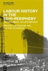 Led Papastefanaki, Leda Papastefanaki, Potamianos, Nikos Potamianos - Labour History in the Semi-periphery