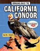 Rachel Stuckey - Bringing Back the California Condor