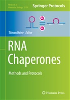 Tilma Heise, Tilman Heise - RNA Chaperones