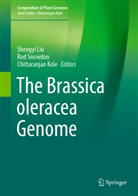 Chittaranjan Kole, Shengyi Liu, Ro Snowdon, Rod Snowdon - The Brassica oleracea Genome