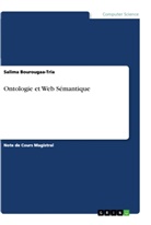 Salima Bourougaa-Tria - Ontologie et Web Sémantique