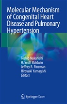 H. Scott Baldwin, Scot Baldwin, Scott Baldwin, Scott H. Baldwin, Jeffrey Fineman, Jeffrey R. Fineman... - Molecular Mechanism of Congenital Heart Disease and Pulmonary Hypertension
