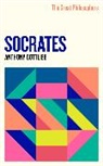 Anthony Gottlieb - The Great Philosophers: Socrates