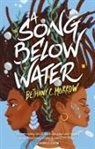 Bethany C. Morrow - A Song Below Water