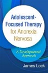 James Lock, Lock James - Adolescent-Focused Therapy for Anorexia Nervosa