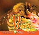 Katie Gillespie - Bees