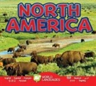 Roumanis Alexis, Alexis Roumanis - North America