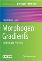 Julie Dubrulle, Julien Dubrulle - Morphogen Gradients