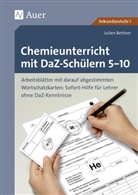 Julien Bettner - Chemieunterricht mit DaZ-Schülern 5-10