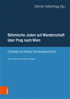 Dietma Goltschnigg, Dietmar Goltschnigg - Böhmische Juden auf Wanderschaft über Prag nach Wien
