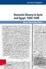 Jan Hinrich Hagedorn - Domestic Slavery in Syria and Egypt, 1200-1500