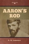 D. H. Lawrence - Aaron's Rod