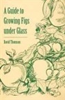 David Thomson - A Guide to Growing Figs Under Glass