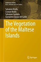 Cristia Brullo, Cristian Brullo, Salvator Brullo, Salvatore Brullo, Salvat Cambria, Salvatore Cambria... - The Vegetation of the Maltese Islands
