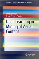 Jenny Benois-Pineau, Akk Zemmari, Akka Zemmari - Deep Learning in Mining of Visual Content