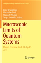 Daniela Cadamuro, Maximilia Duell, Maximilian Duell, Wojciech Dybalski, Wojciech Dybalski et al, Sergio Simonella - Macroscopic Limits of Quantum Systems