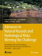 Helder I. Chaminé, Francisco Fernandes, Helder I Chaminé, An Malheiro, Ana Malheiro - Advances in Natural Hazards and Hydrological Risks: Meeting the Challenge