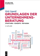 Dirk Lippold - Grundlagen der Unternehmensberatung