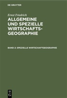 Ernst Friedrich - Ernst Friedrich: Allgemeine und spezielle Wirtschaftsgeographie - Band 2: Spezielle Wirtschaftgeographie