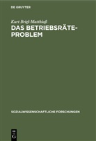 Kurt Brigl-Matthiaß - Das Betriebsräteproblem