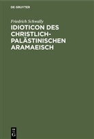 Friedrich Schwally - Idioticon des christlich-palästinischen Aramaeisch