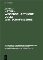 Adolf Mayer - Naturwissenschaftliche Volkswirtschaftslehre