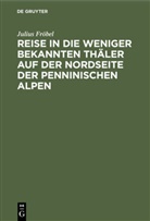 Julius Fröbel - Reise in die weniger bekannten Thäler auf der Nordseite der Penninischen Alpen