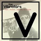 The Vibrators - PAST, PRESENT AND INTO THE FUTURE (Hörbuch)