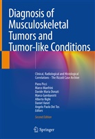 Angelo Paolo Dei Tos, Davide Maria Donati, Marco Gambarotti, Marc Manfrini, Marco Manfrini, Davide Maria Donati et al... - Diagnosis of Musculoskeletal Tumors and Tumor-like Conditions