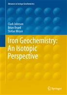 Bria Beard, Brian Beard, Clar Johnson, Clark Johnson, Stefan Weyer - Iron Geochemistry: An Isotopic Perspective