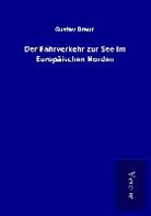 Gustav Braun - Der Fährverkehr zur See im Europäischen Norden