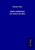 Theodor Storm - Aquis submersus