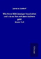 Jeremias Gotthelf - Wie Anne Bäbi Jowäger haushaltet und wie es ihm mit dem Doktern geht