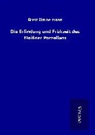 Ernst Zimmermann - Die Erfindung und Frühzeit des Meißner Porzellans