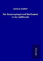 Jeremias Gotthelf - Der Bauernspiegel und Die Käserei in der Vehfreude