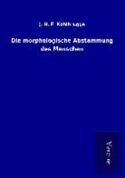 J H F Kohlbrugge, J. H. F. Kohlbrugge - Die morphologische Abstammung des Menschen