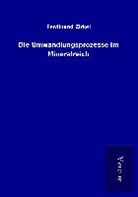 Ferdinand Zirkel - Die Umwandlungsprozesse im Mineralreich