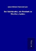 Jakob Michael Reinhold Lenz - Der Waldbruder, ein Pendant zu Werthers Leiden