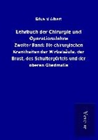 Eduard Albert - Lehrbuch der Chirurgie und Operationslehre