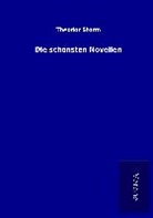 Theodor Storm - Die schönsten Novellen